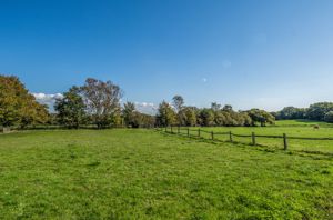 Photo 94- click for photo gallery